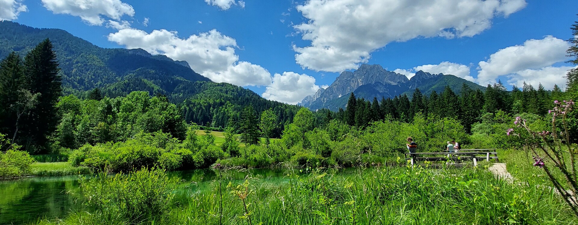 Zelenci
