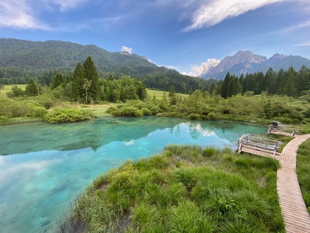 Zelenci